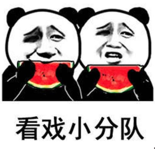 吃瓜配娱乐,娱乐生活乐翻天